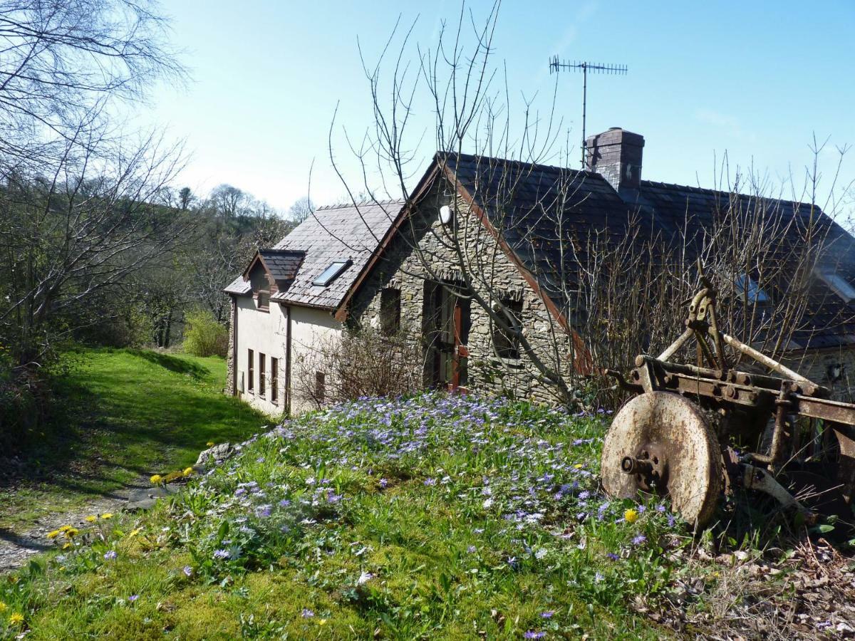 Ceridwen Holiday Homes Llandysul Exterior photo